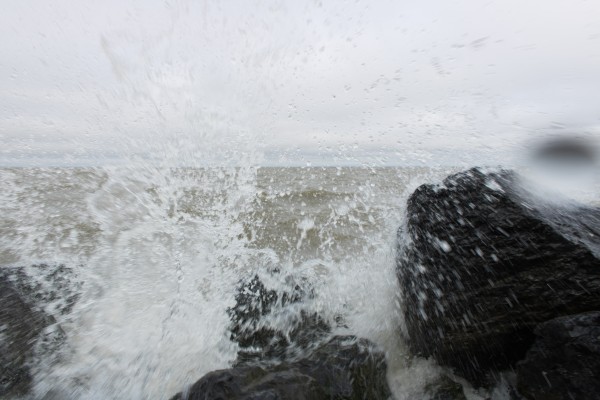 Arctic Splash by Laurie Kindred